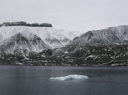 Горно-долинный ледник Горно-долинный ледник