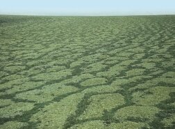 Полигональные тундры Полигональные тундры