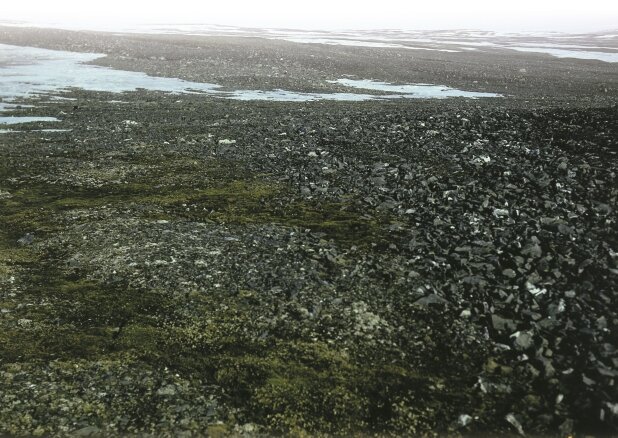 Курумам Курумам