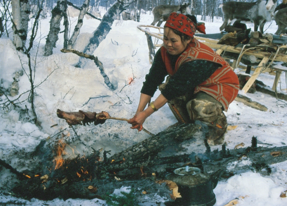 Обжаренное на рожнах мясо оленя Обжаренное на рожнах мясо оленя